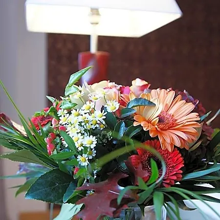 Hotel Stern 3*