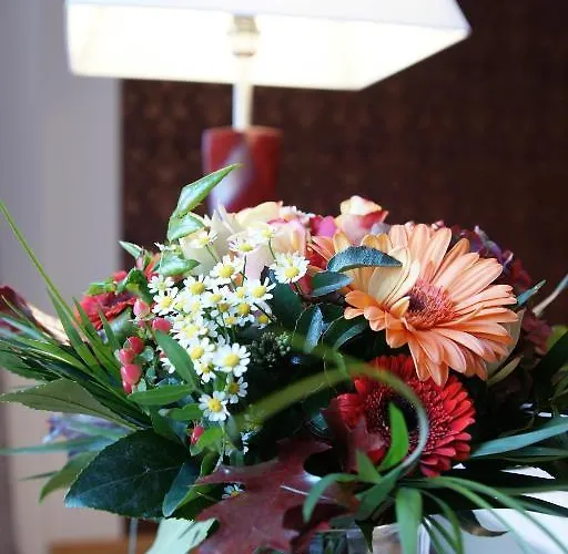 Stern - Self Check-in